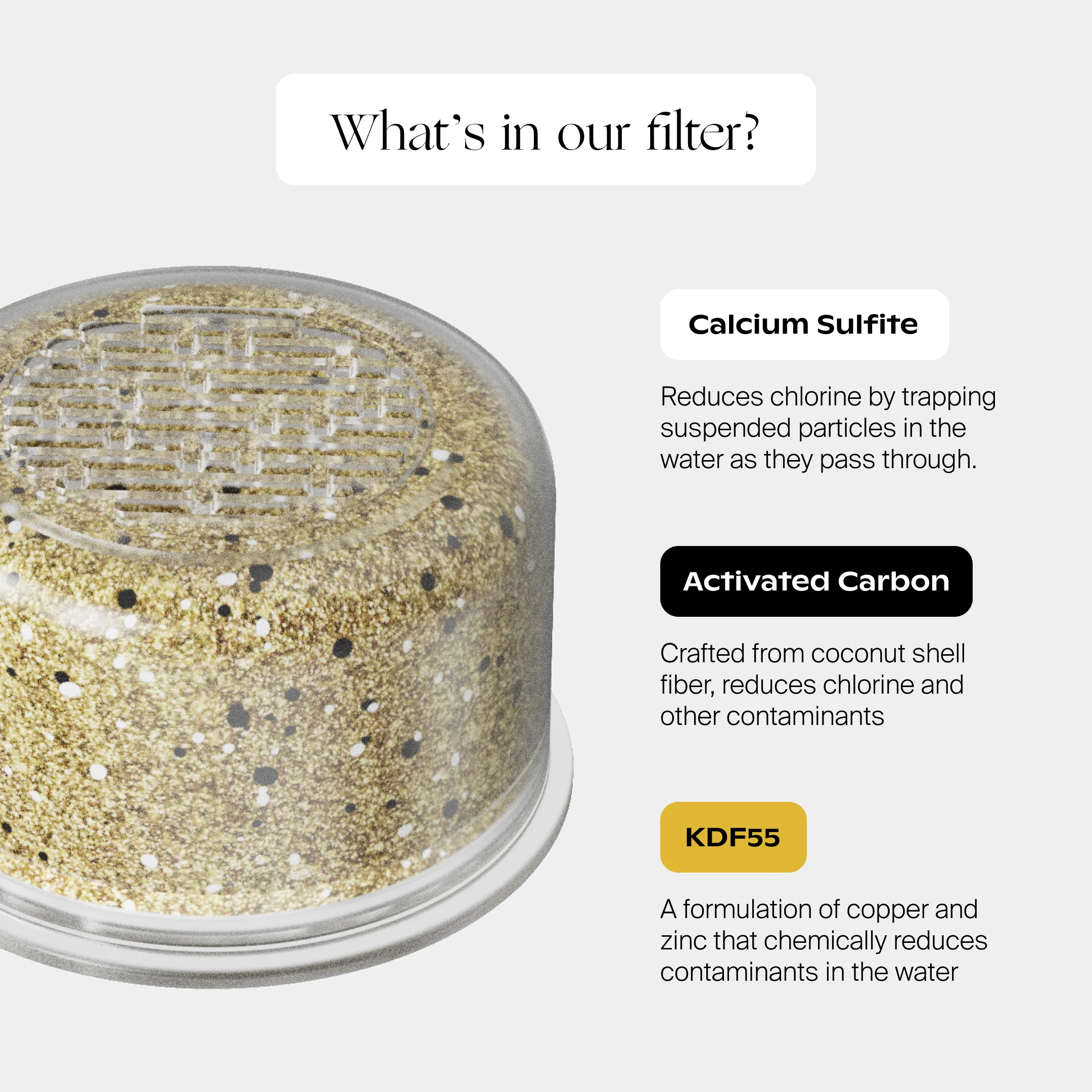 The Shower System - Image 13