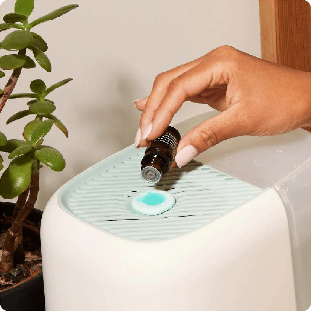 Bedside Humidifier Filter & Aroma - Image 6