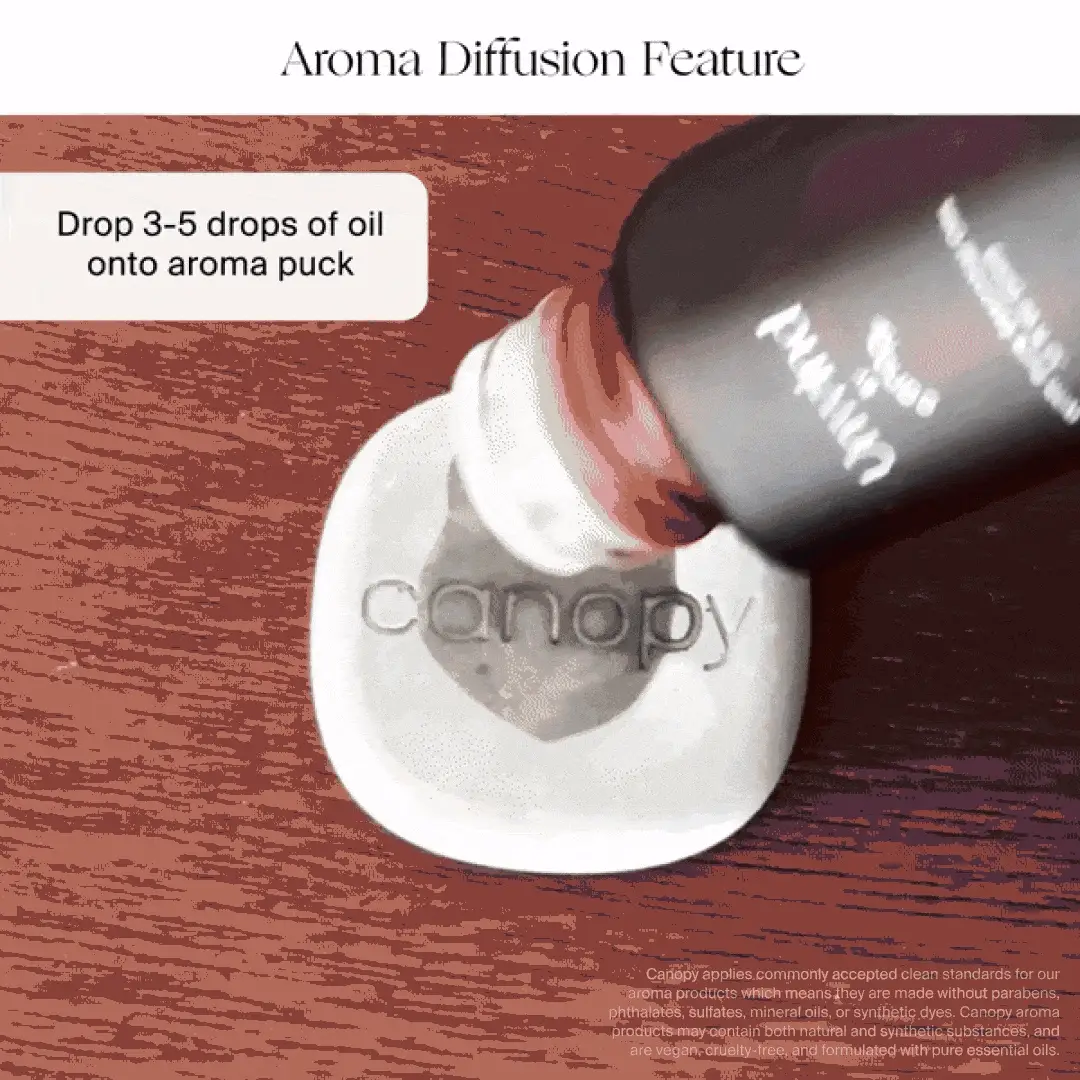 Portable Humidifier Duo - Image 11